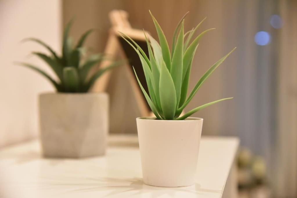 Tiny Treasure Apartment Atene Esterno foto